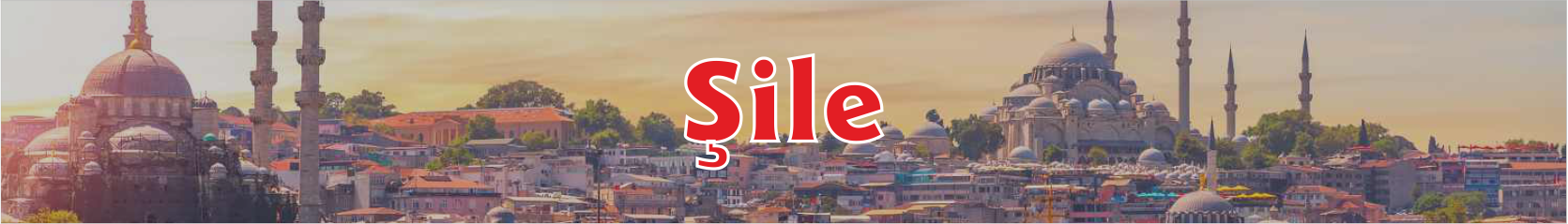 Şile